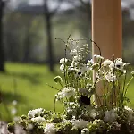 Chateau De La Bribourdiere Hotell Putot-en-Auge