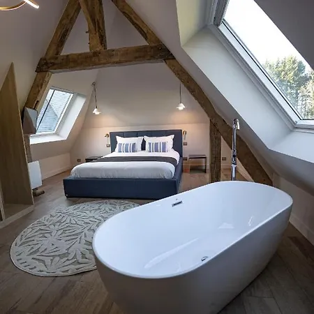 Отель Chateau De La Bribourdiere 4*