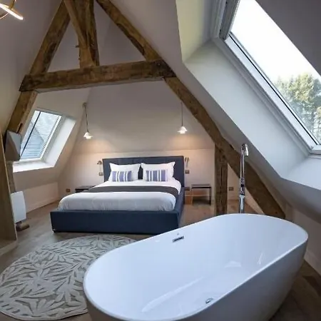 Отель Chateau De La Bribourdiere 4*