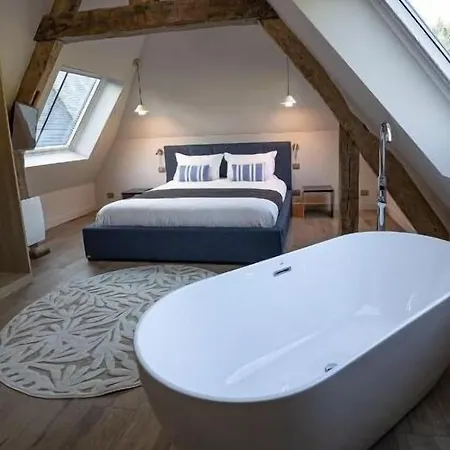 Chateau De La Bribourdiere Отель 4*