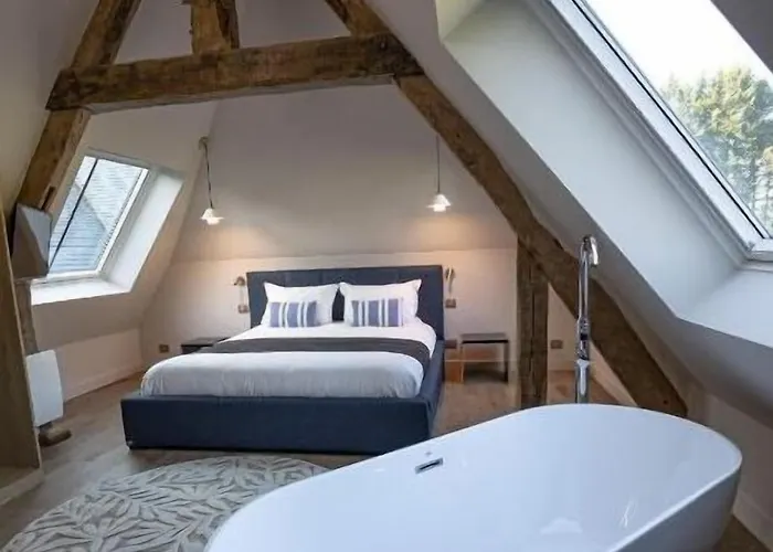 Hotel Chateau De La Bribourdiere 4*